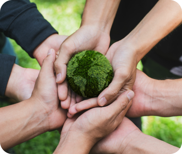 Rounded Highlight Image